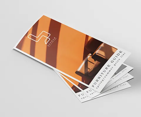DL pp Leaflet