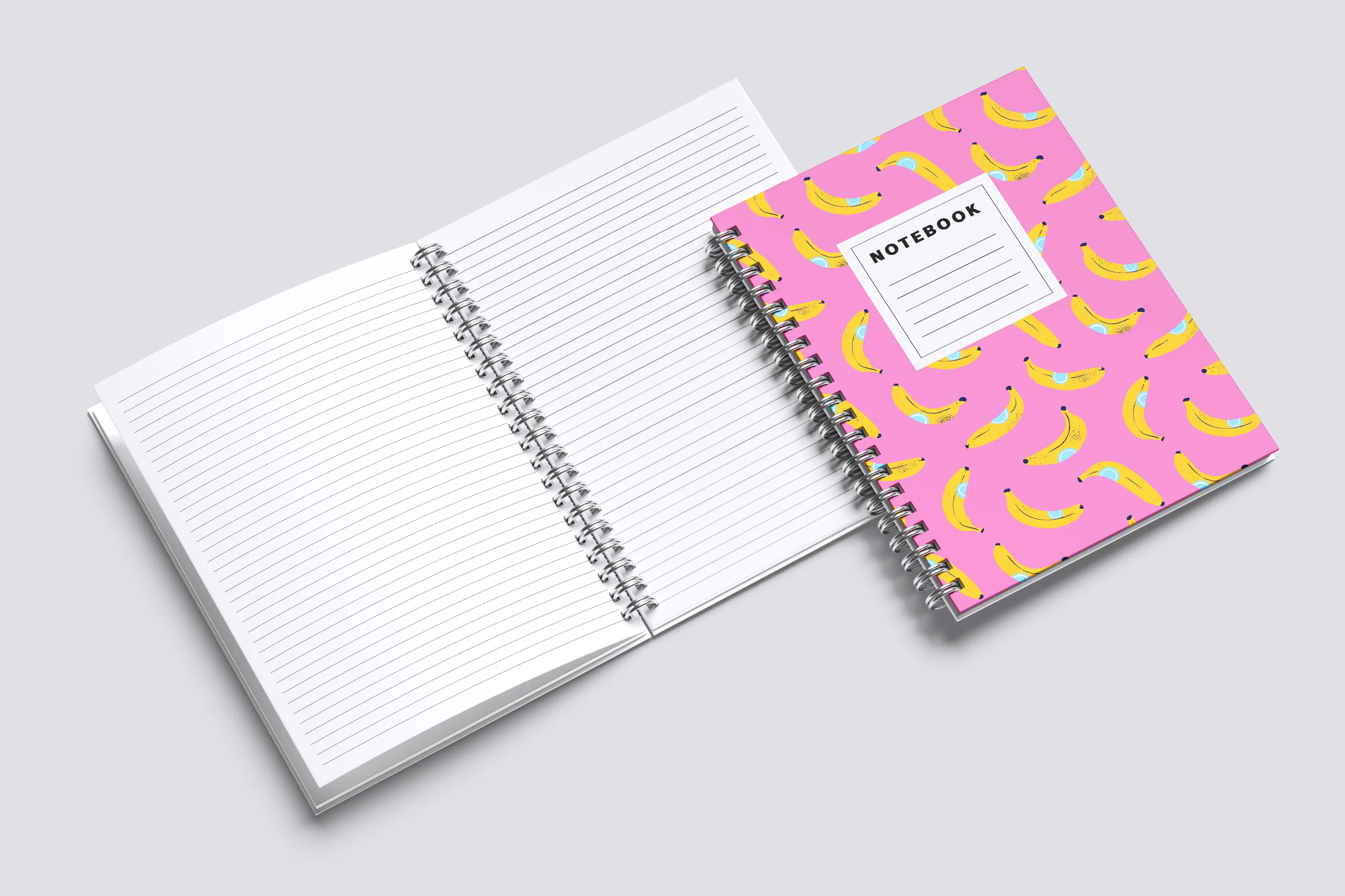 Notebooks & Diaries