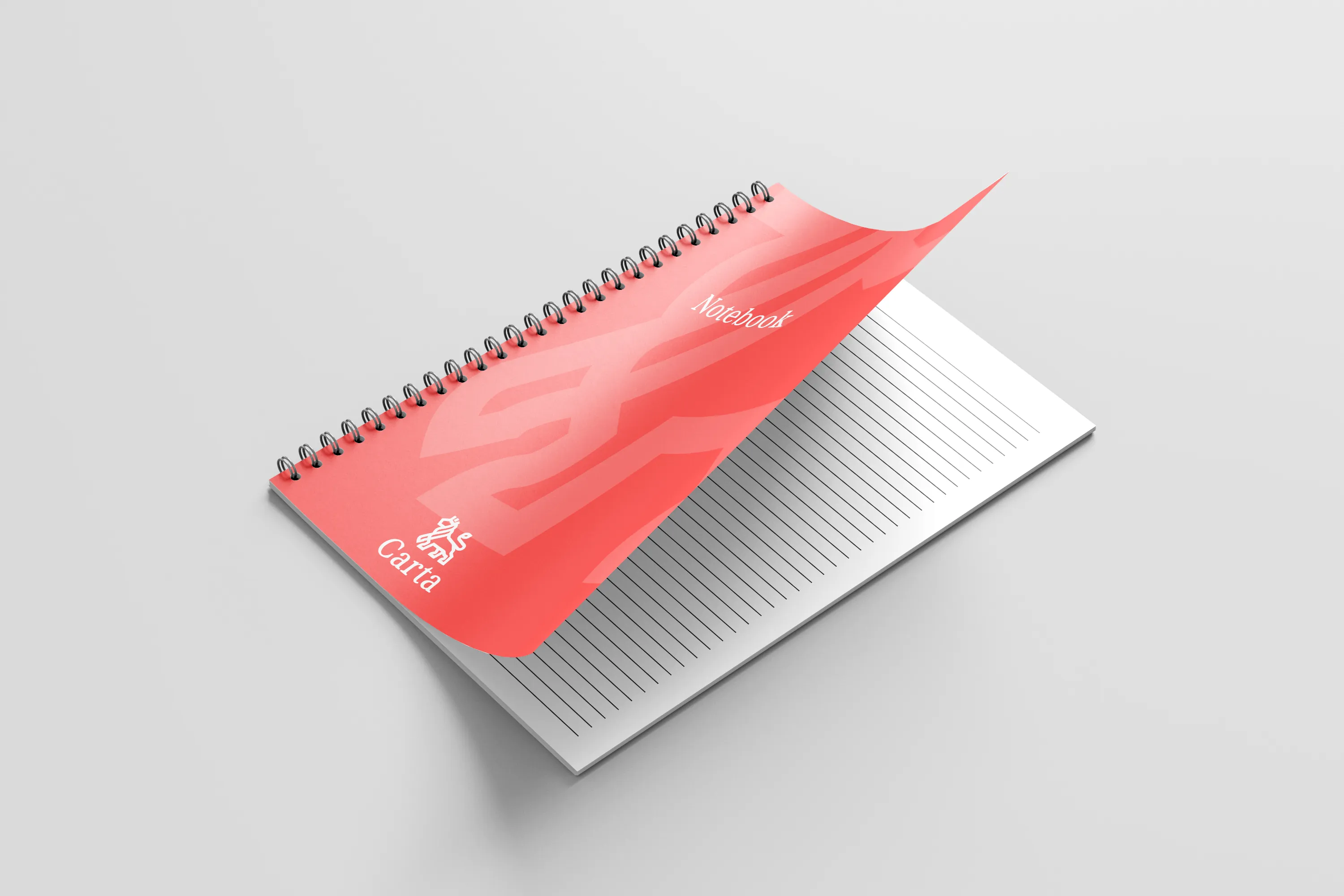 Notebooks & Diaries