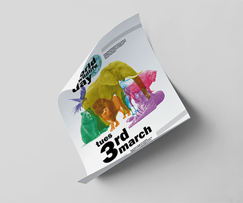 Poster Printing
